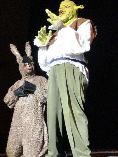 Shrek and Donkey