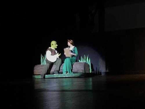 Shrek and Fiona